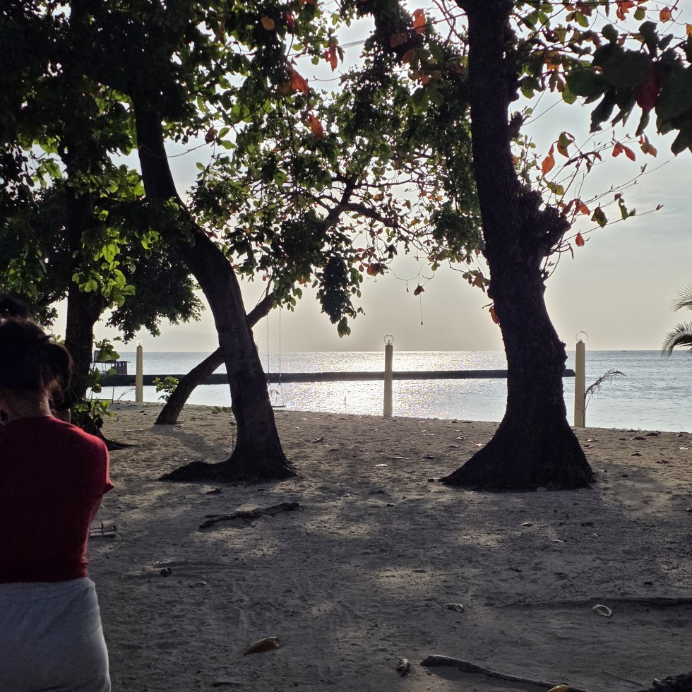 e48b7870e56d7e894aaa1656a0da1ad3_1771939145_3985.jpg