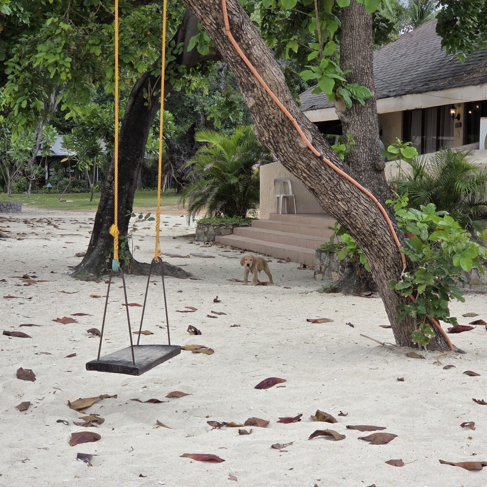 e48b7870e56d7e894aaa1656a0da1ad3_1771939146_9048.jpg