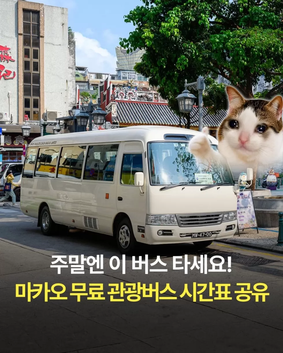 90a188642ff92daa40c3016da3304a21_1785550748_8395.webp